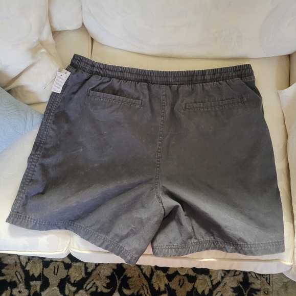 Gray Drawstring Swim Trunks - Picture 2 of 7